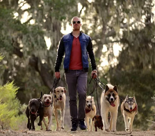 Klaar voor meer rust en balans met je hond?