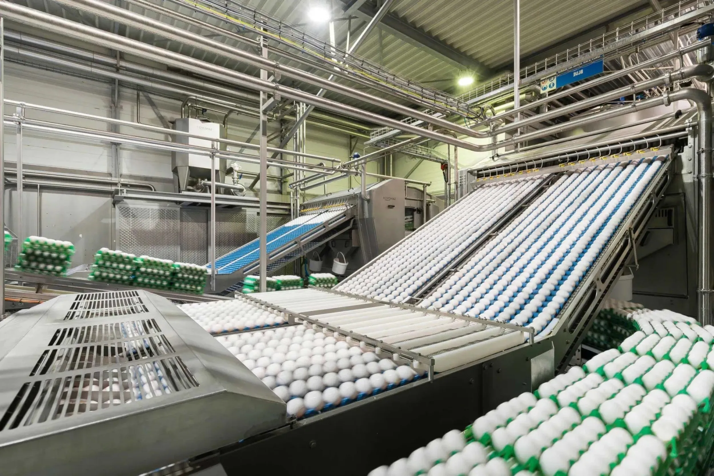 Wulms Egg Group sfeerfoto 