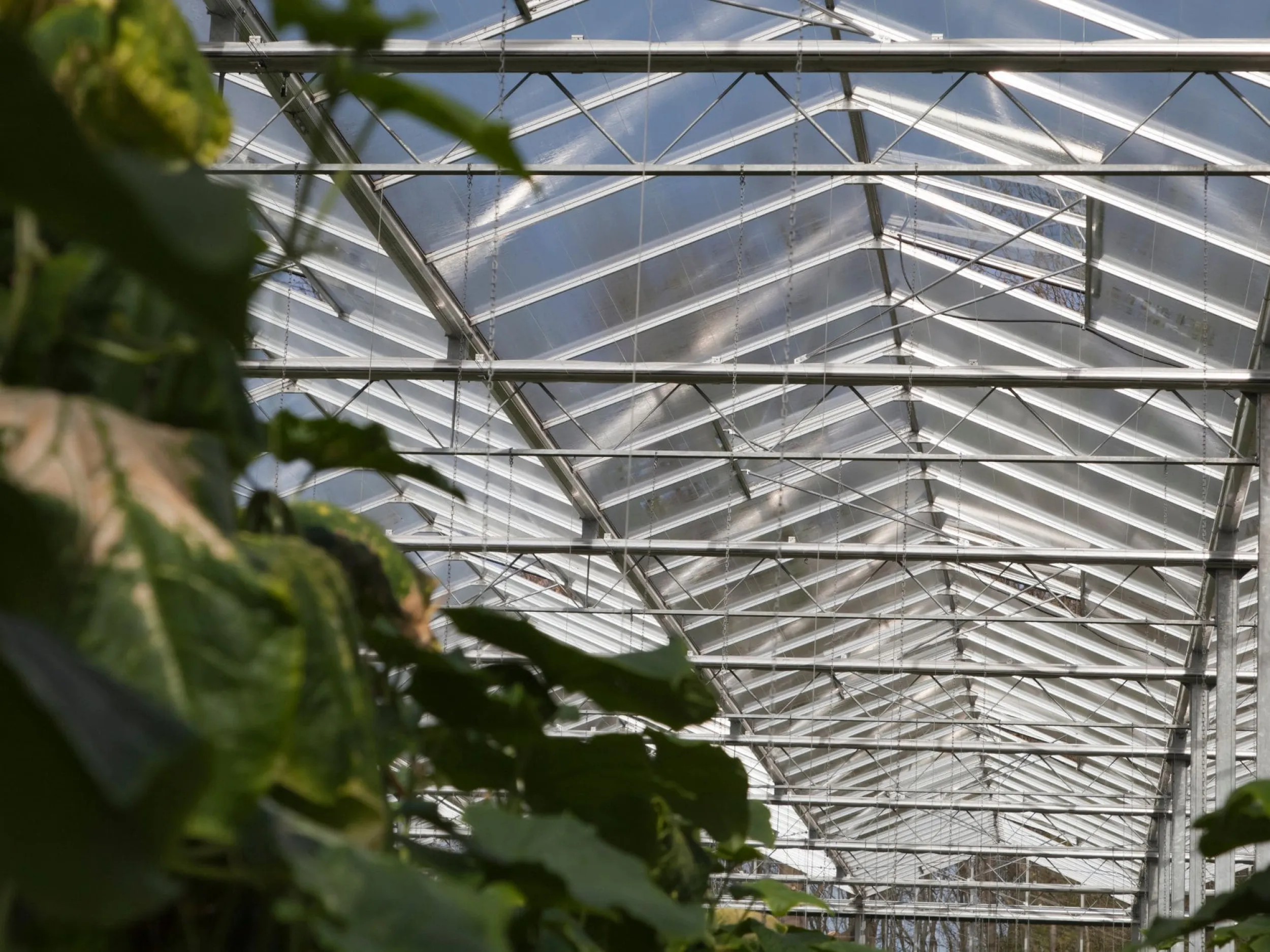 Tonnaer BV kasreiniging 